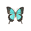 Papilio ulysses 1 [5 KB]