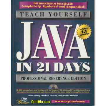 Teach Yourself JAVA in 21 Days CD ROM Sun Microsystem Classic Computer Reference [12 KB]